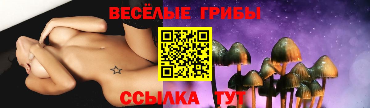 Галлюциногенные грибы Magic Shrooms  Вход с VPN  Магадан 